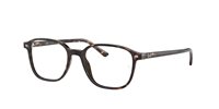 Eyeglasses frame Ray-Ban 5393201251